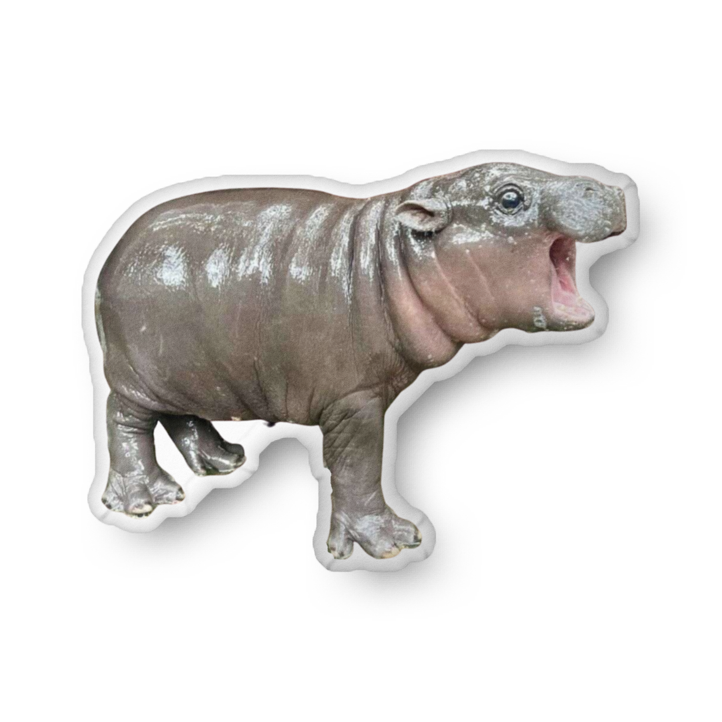 Moo Deng - Adorable Baby Hippo Plush Pillow