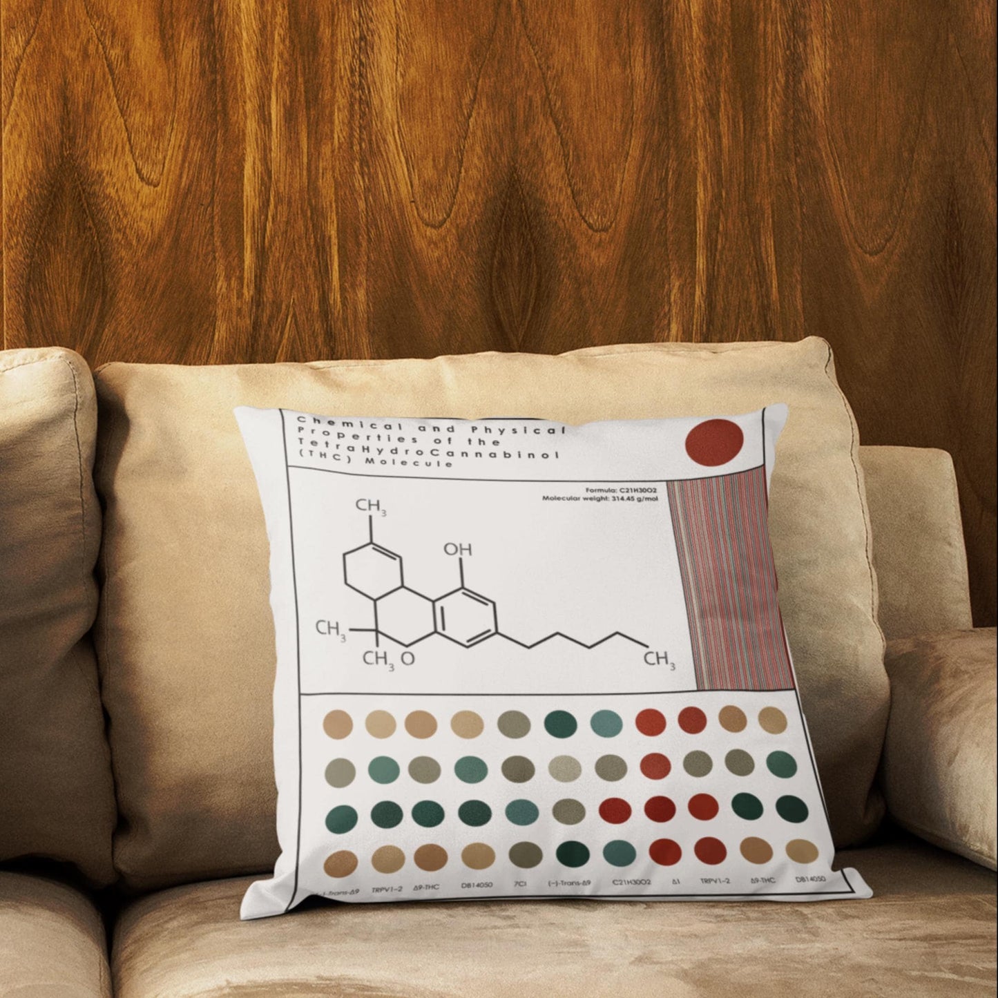 Cannabis Themed Pillow l THC & CBD Molecule Cushion for Weed Enthusiasts