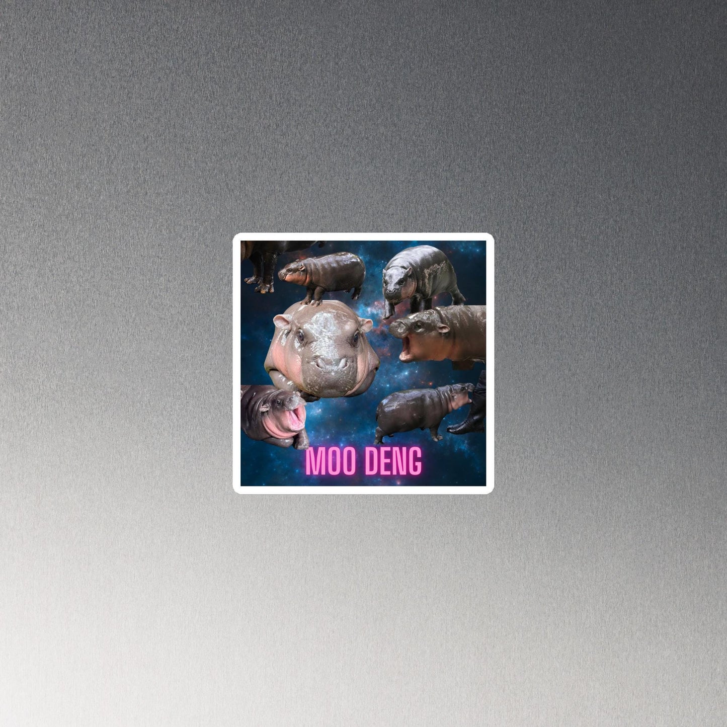 Moo Deng Baby Hippo Magnets l Cute Hippo Fridge Magnets