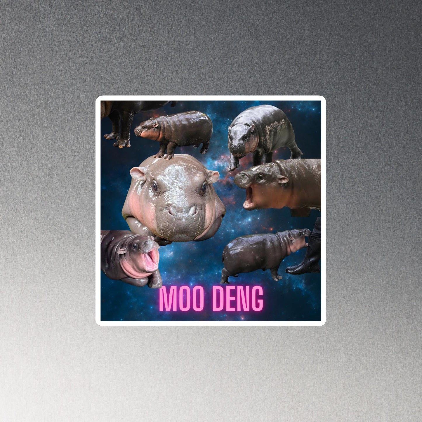 Moo Deng Baby Hippo Magnets l Cute Hippo Fridge Magnets