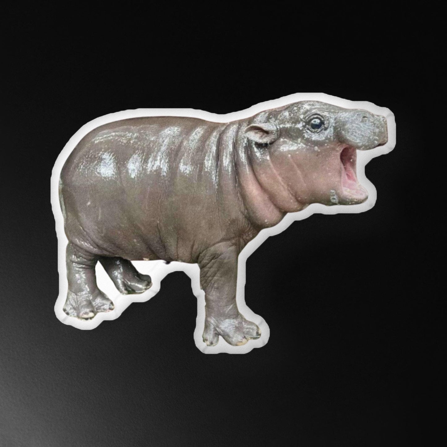 Moo Deng - Adorable Baby Hippo Plush Pillow