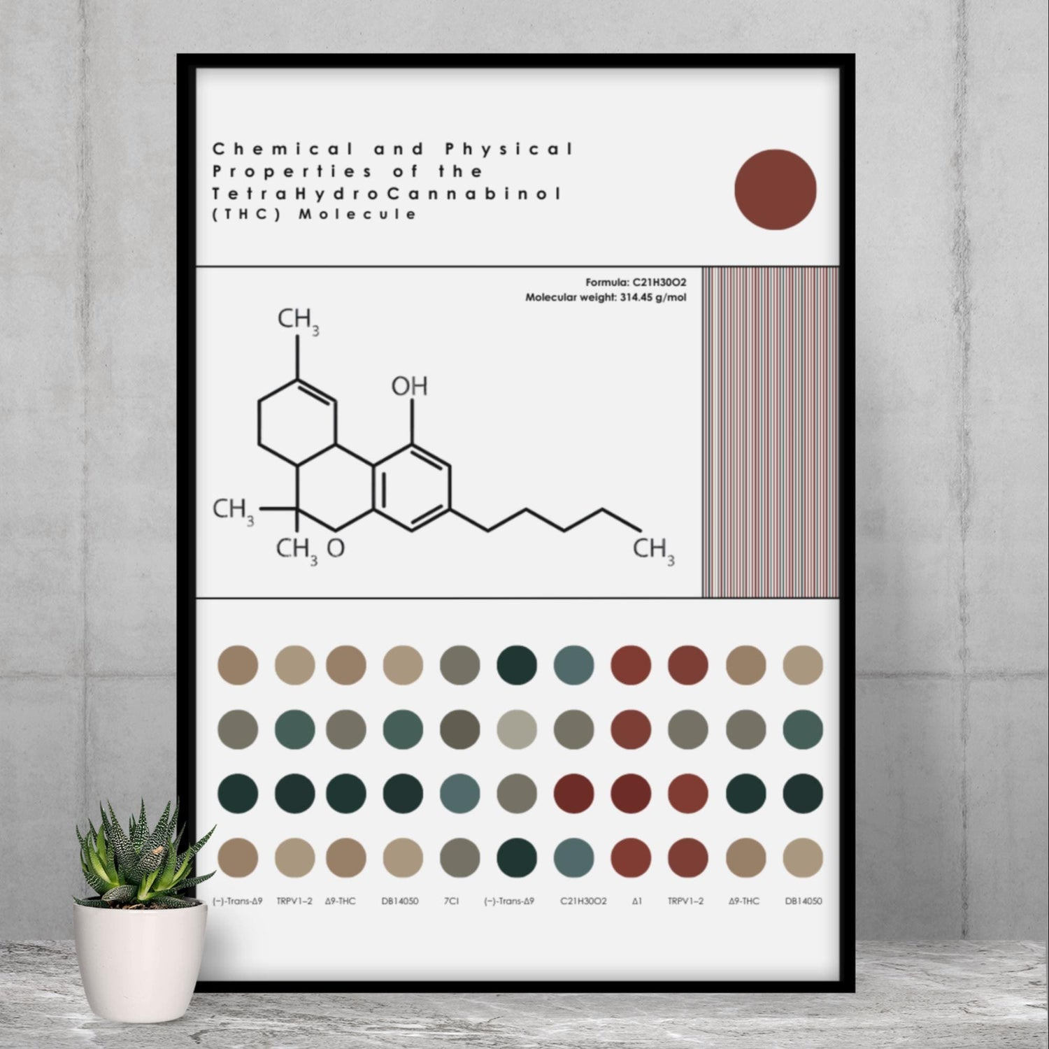 Modern Cannabis