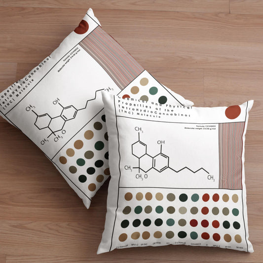 Cannabis Themed Pillow l THC & CBD Molecule Cushion for Weed Enthusiasts